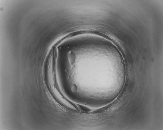 X0000062170983200512121236