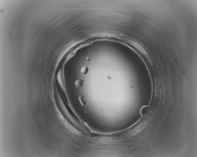 X0000062170984200512121236