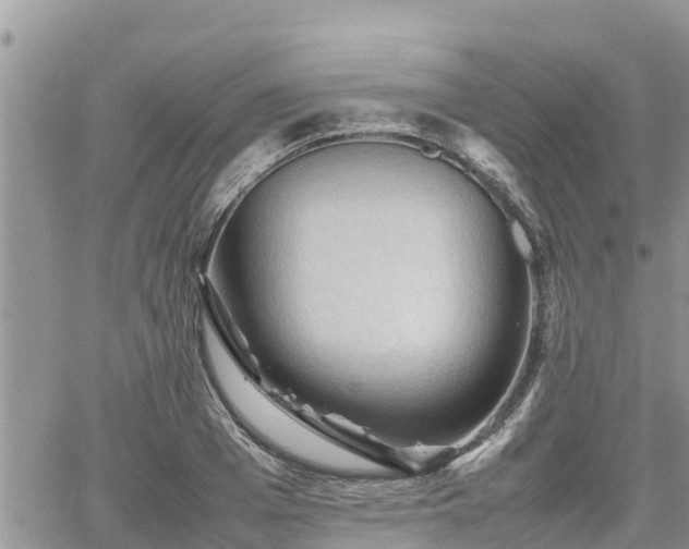 X0000062170985200512121236