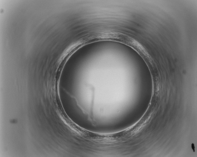 X0000062170986200512121236