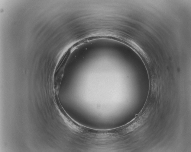 X0000062170988200512121236