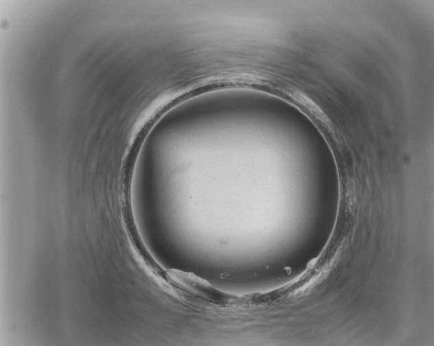 X0000062170989200512121236