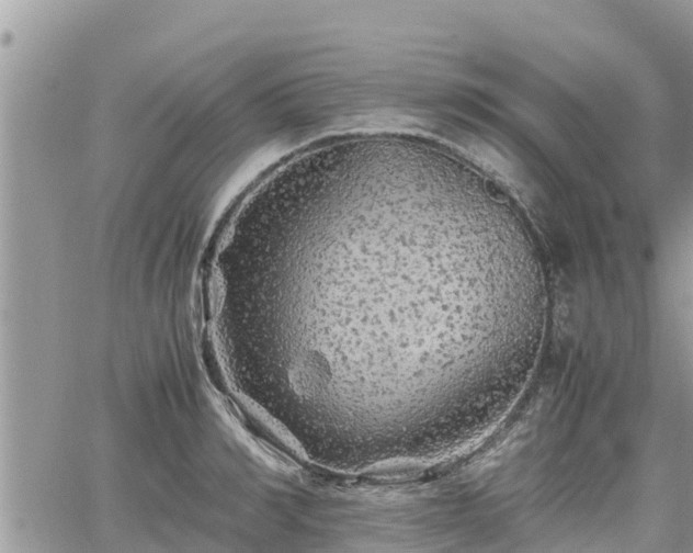 X0000062170990200512121236