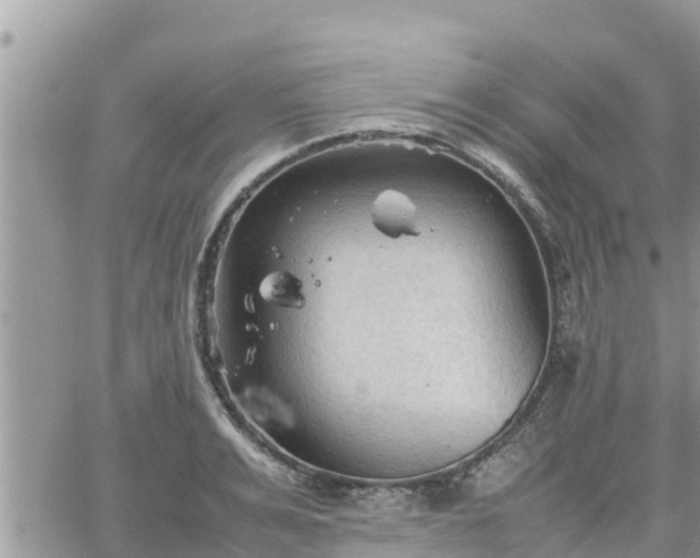 X0000062170991200512121236