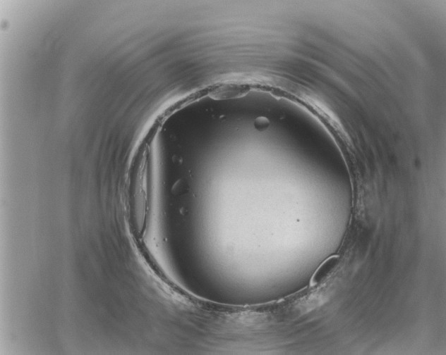 X0000062170992200512121236