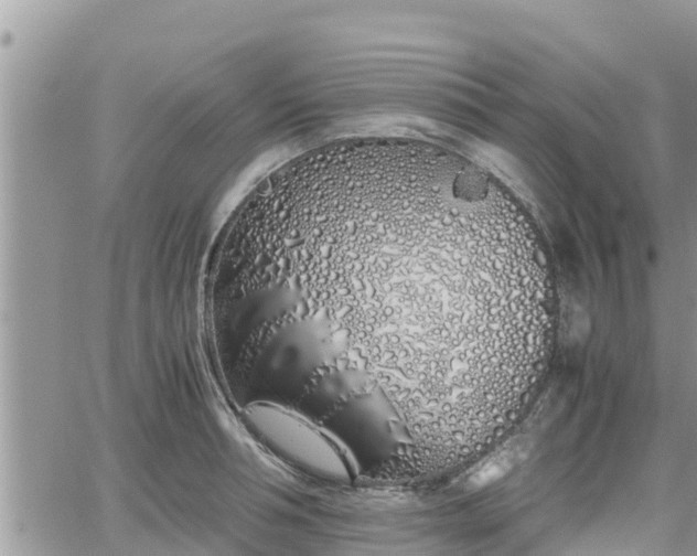 X0000062170994200512121236