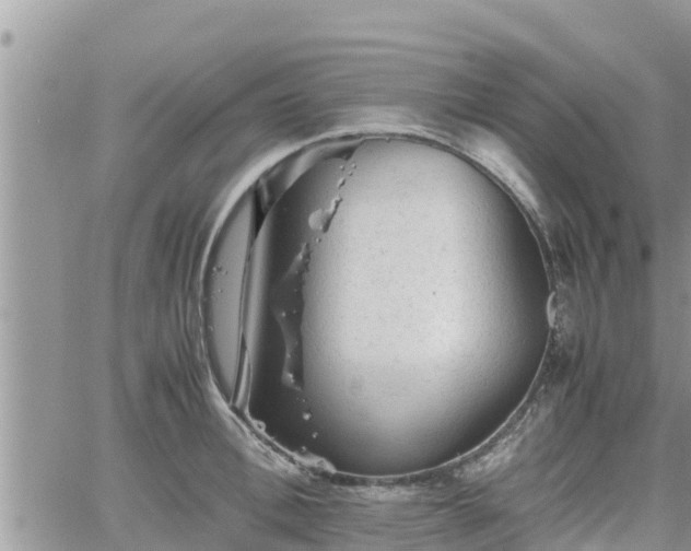 X0000062170996200512121236