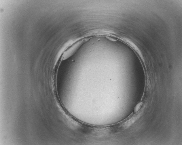 X0000062170997200512121236