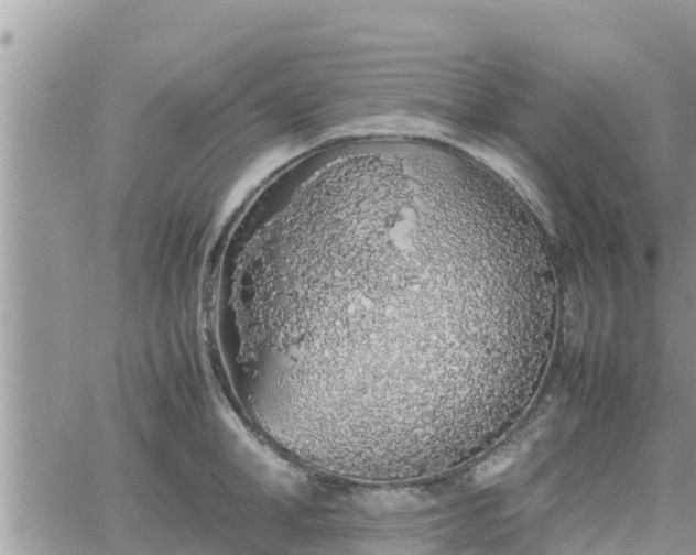 X0000062170998200512121236