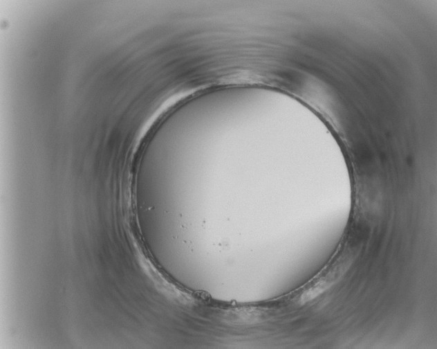 X0000062171000200512121236