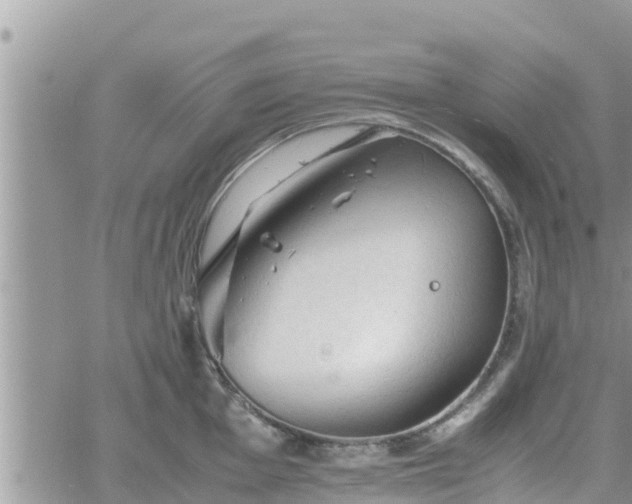 X0000062171001200512121236