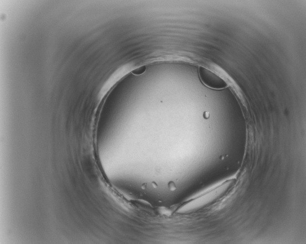 X0000062171002200512121236