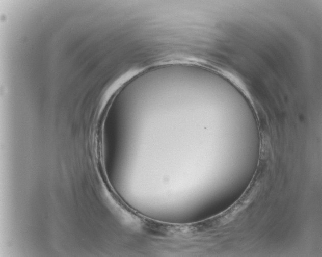 X0000062171003200512121236