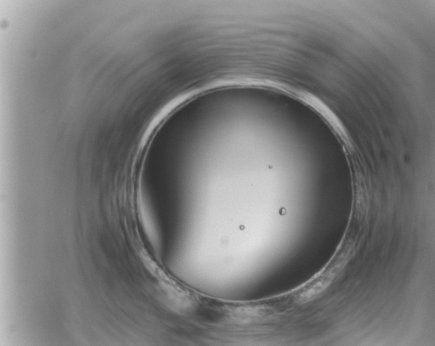 X0000062171004200512121236