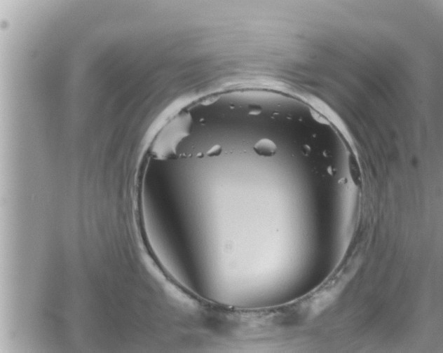 X0000062171005200512121236