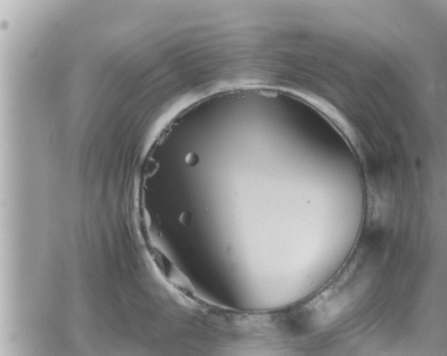 X0000062171006200512121236