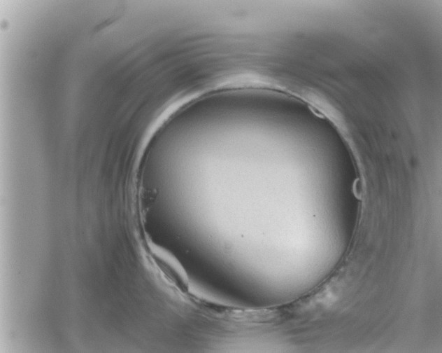 X0000062171008200512121236