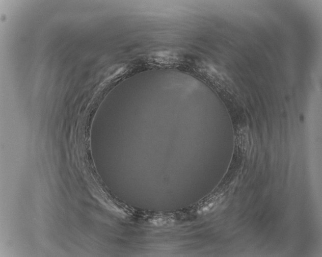 X0000062171009200512121235