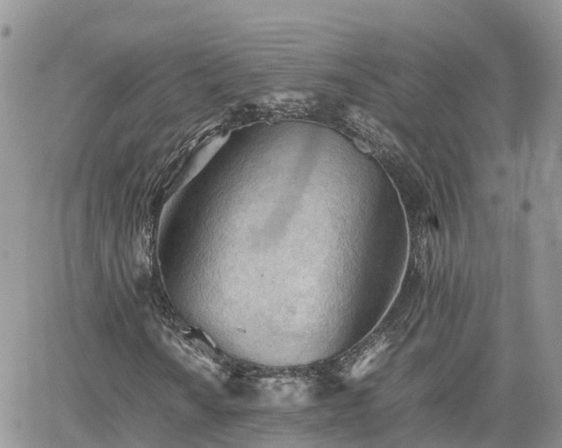 X0000062171010200512121235