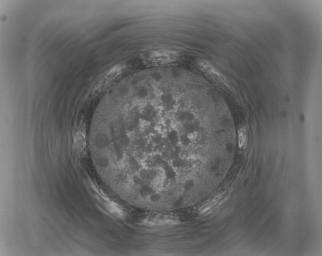 X0000062171011200512121235