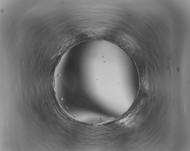 X0000062171012200512121235