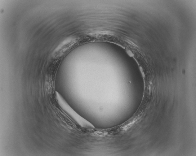 X0000062171014200512121235