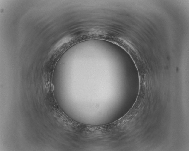 X0000062171015200512121235