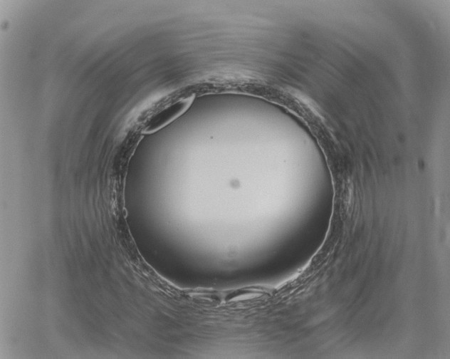 X0000062171016200512121235