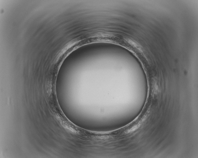 X0000062171017200512121235