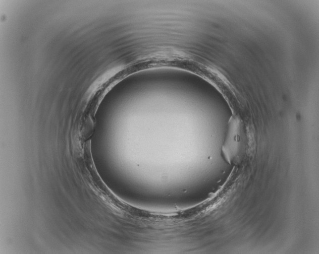 X0000062171018200512121235