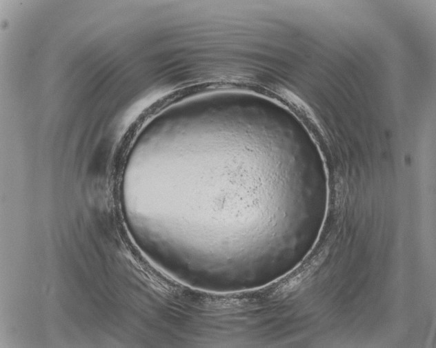 X0000062171019200512121235