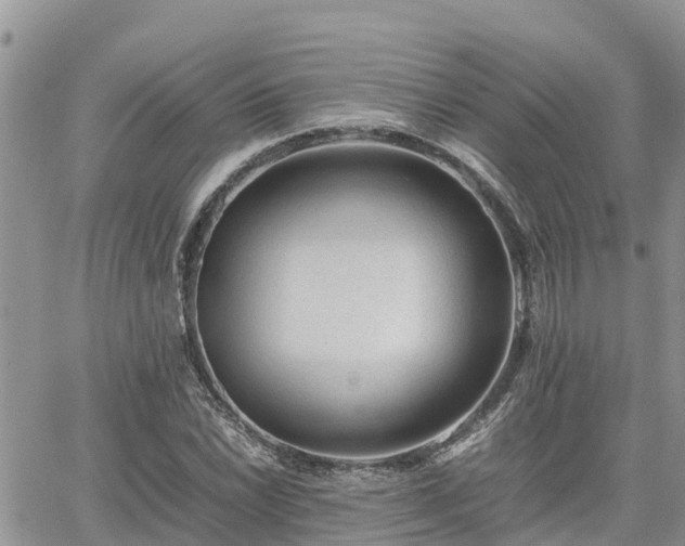 X0000062171022200512121235