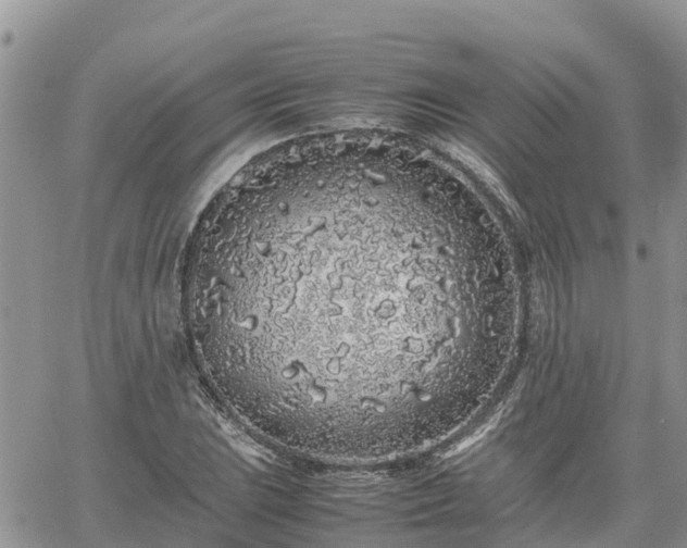 X0000062171023200512121235