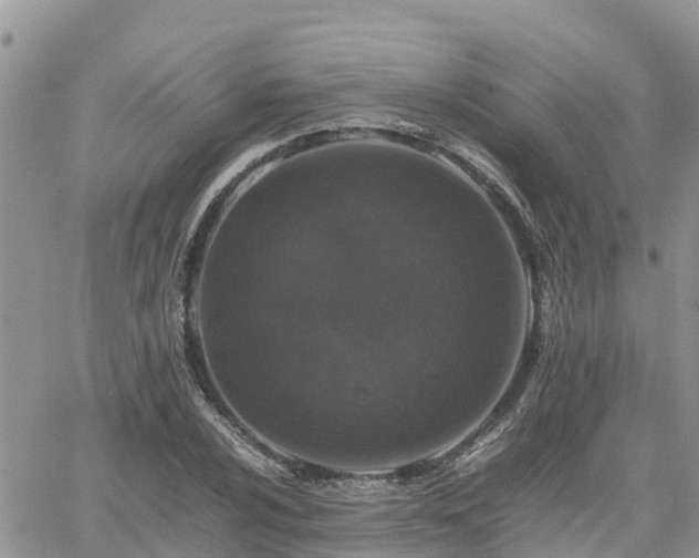 X0000062171024200512121235