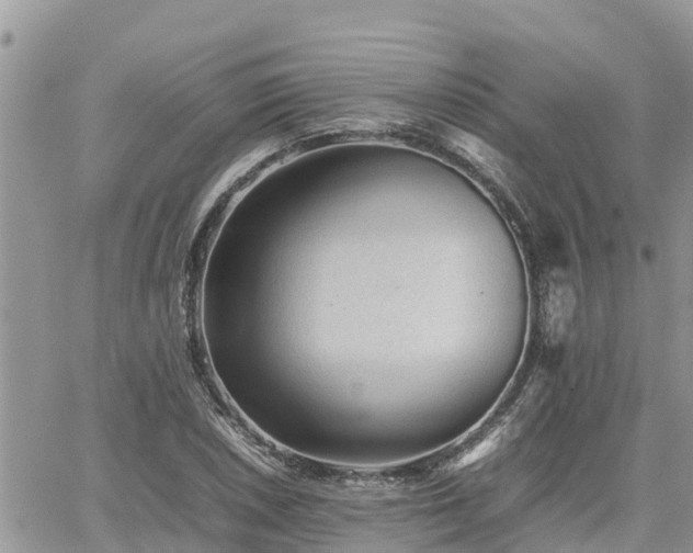 X0000062171026200512121235