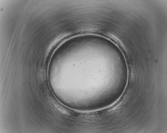 X0000062171027200512121235