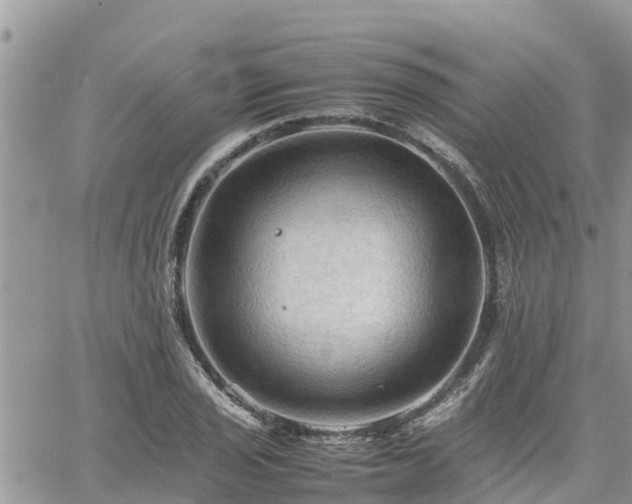 X0000062171029200512121235