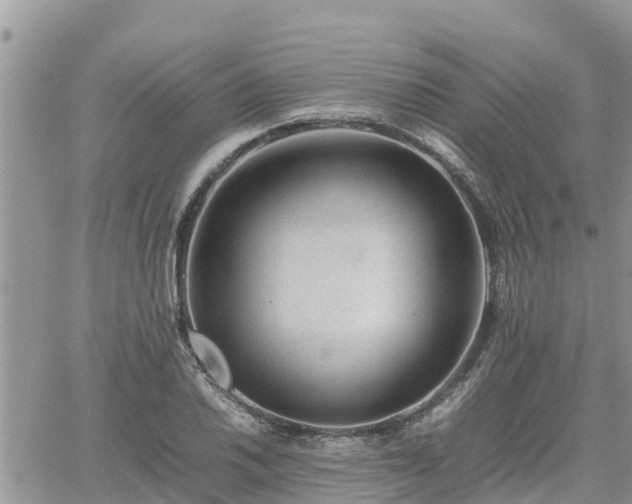 X0000062171030200512121235