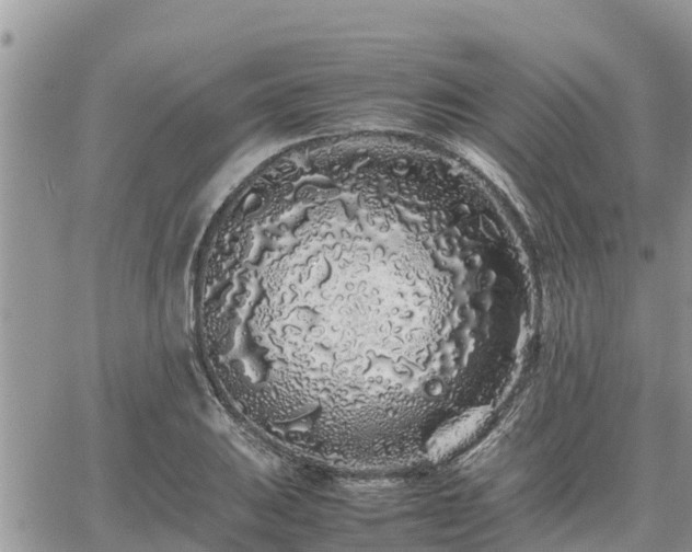 X0000062171031200512121235