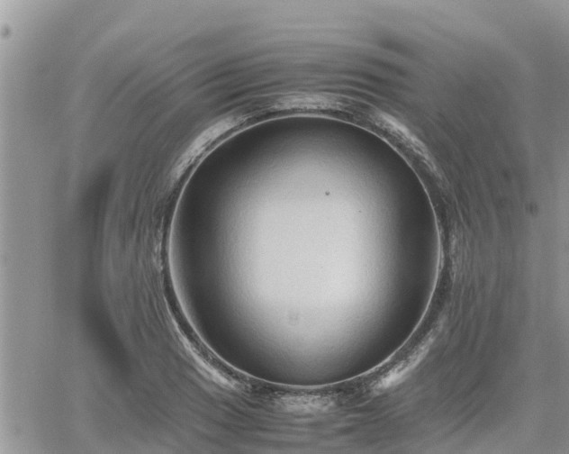 X0000062171033200512121235