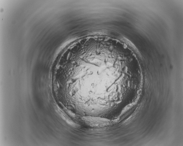 X0000062171035200512121235