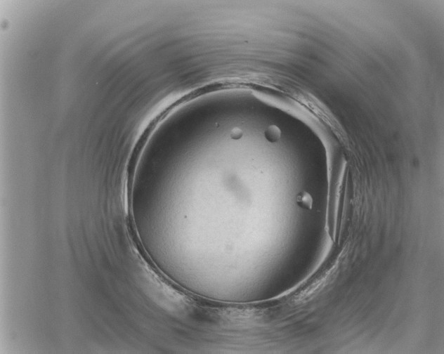 X0000062171036200512121235