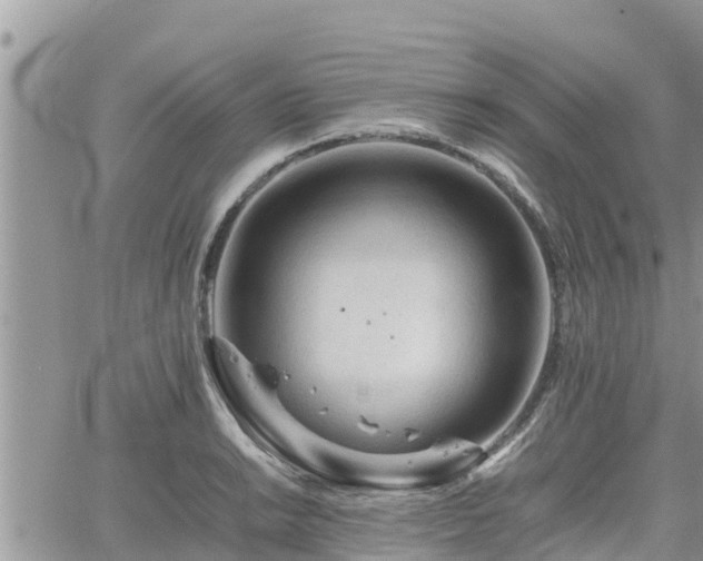 X0000062171038200512121235