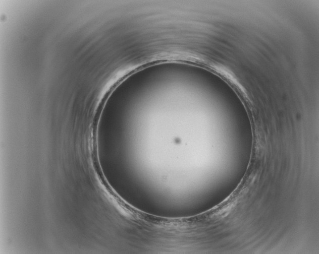 X0000062171040200512121235