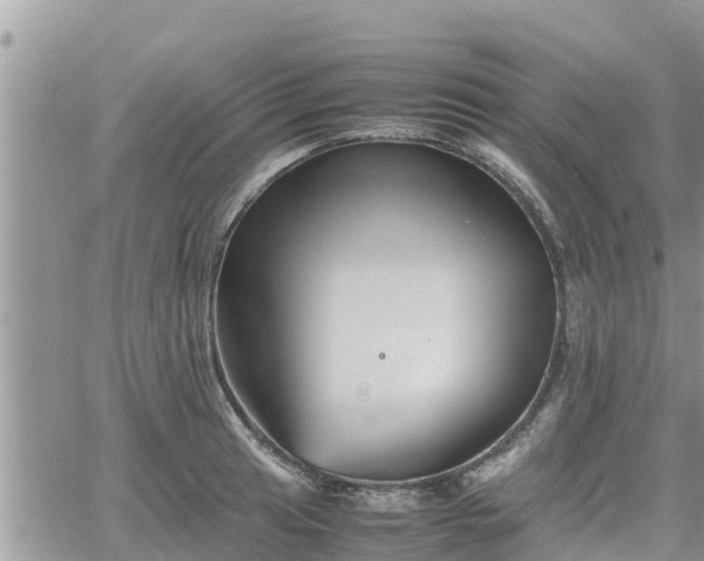 X0000062171041200512121235