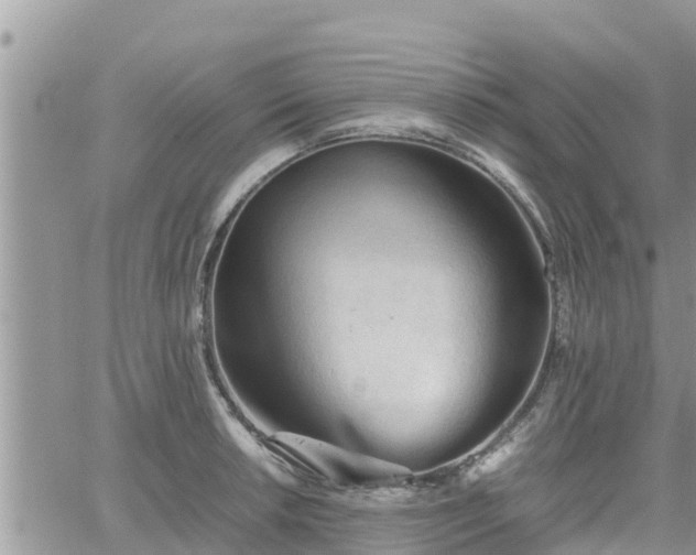 X0000062171042200512121235