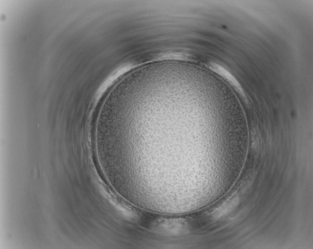 X0000062171043200512121235