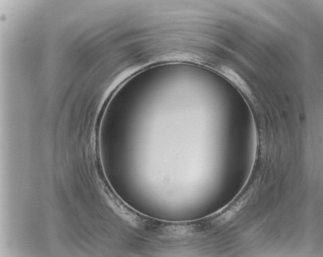 X0000062171044200512121235