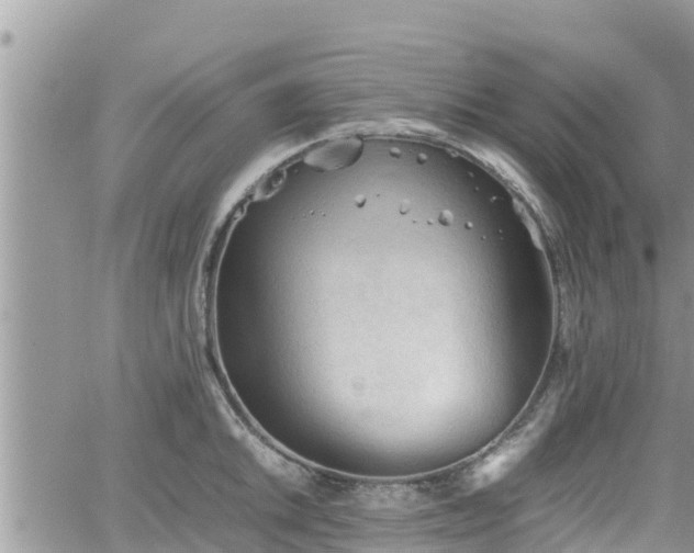 X0000062171046200512121235