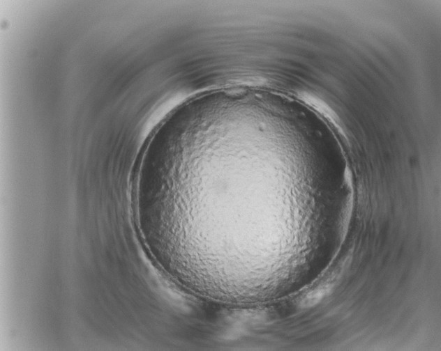 X0000062171047200512121235